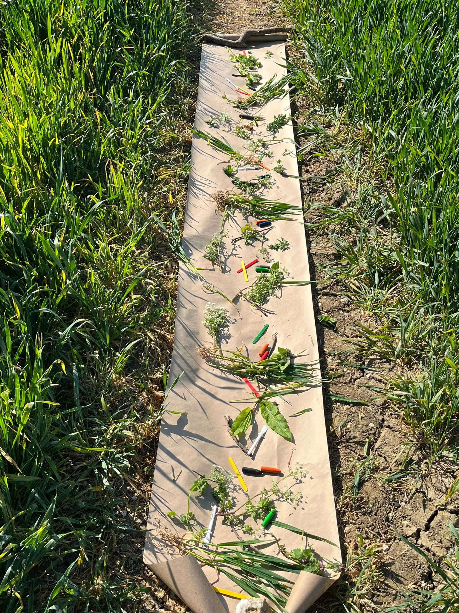 Image of a children playing in nature