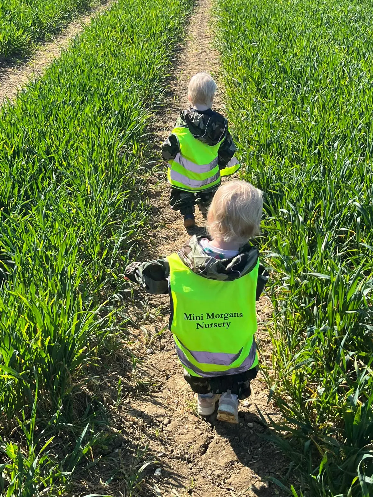Image of a children playing in nature