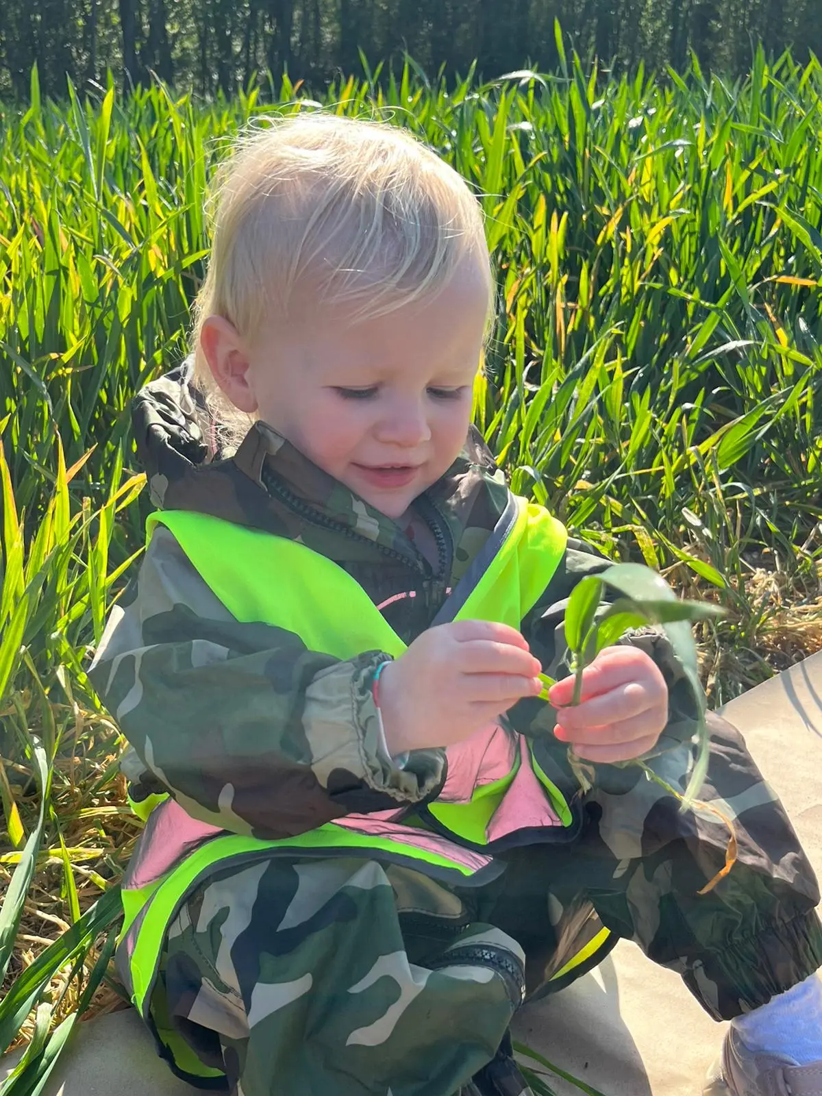 Image of a children playing in nature